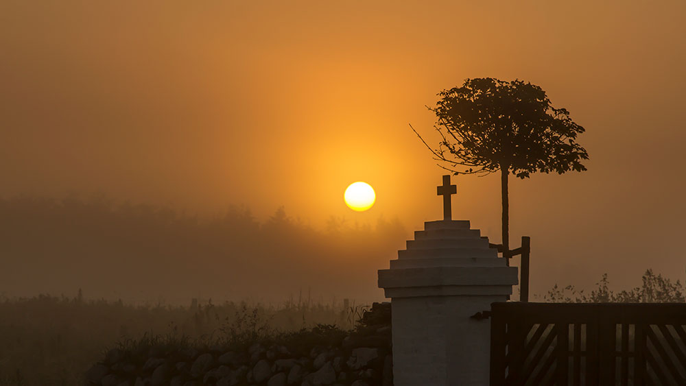 Billede til den relaterede nyhed Personalekonsulent skabte problemer: FAKK sikrede Lone den løn, hun havde krav på