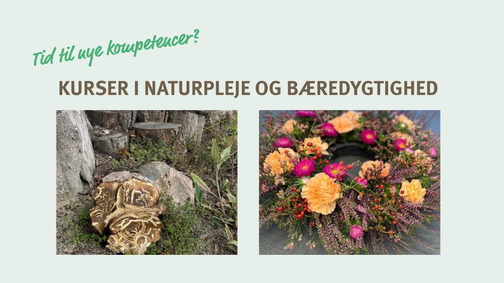 Billede til den relaterede nyhed Interesseret i naturpleje og bæredygtighed? Se to nye kurser