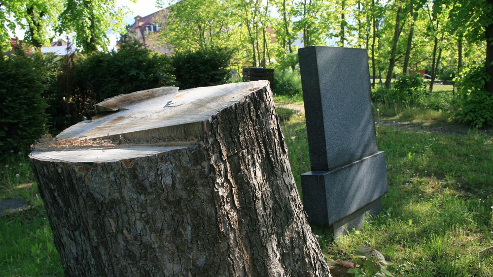 Billede til nyheden Seneste nyt
