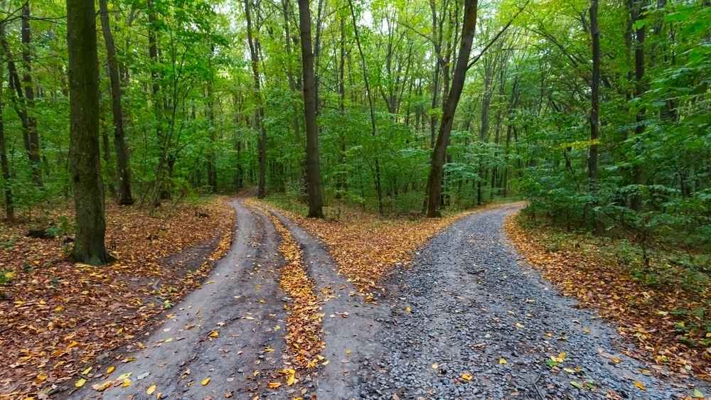 Billede til den relaterede nyhed Ny e-bog lægger op til debat om fremtidens Folkekirke